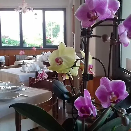 Bb Orchidea Nocleg ze śniadaniem Stresa