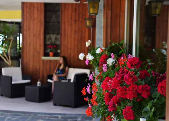 Bb Orchidea Стреза