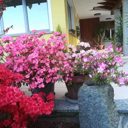 B&B Bb Orchidea 2*